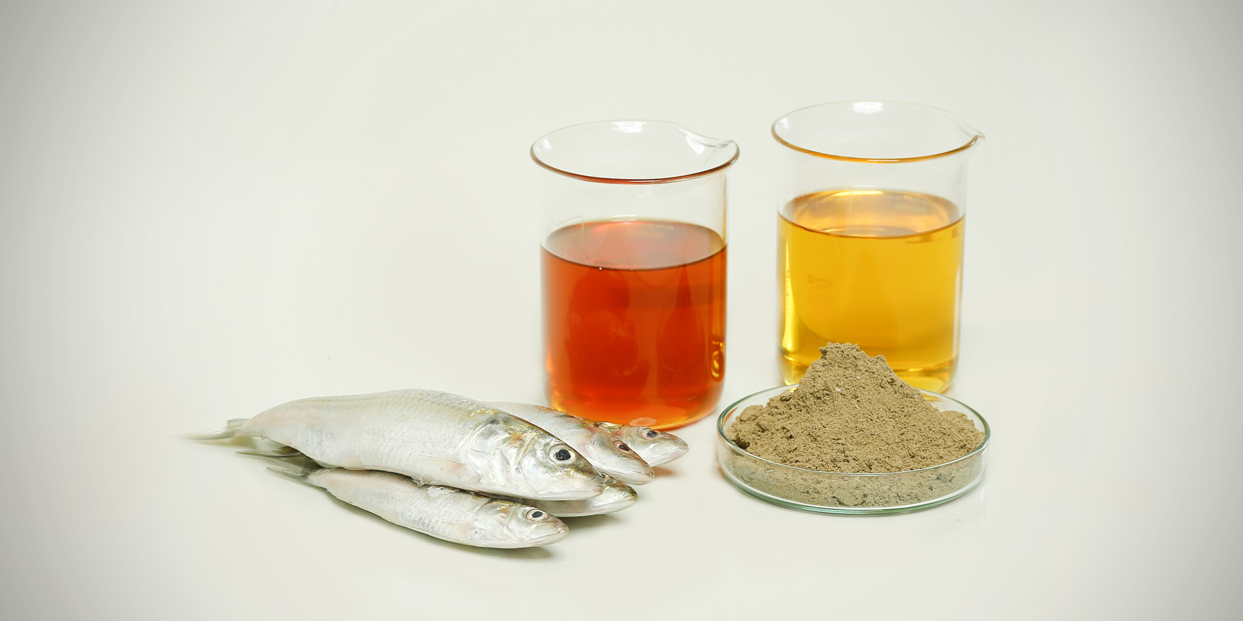 A photo of processed fish meat