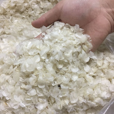 A photo of dried fish scales and fine powder