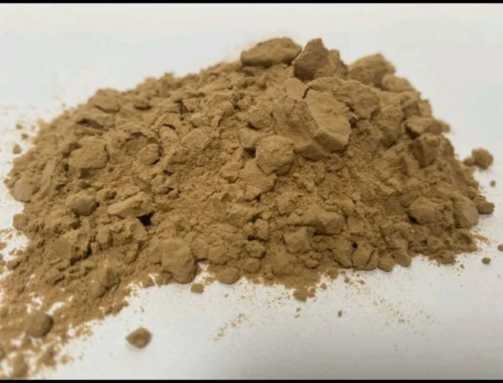 A photo of Shrimp Protein Hydrolysate in paste and powder form